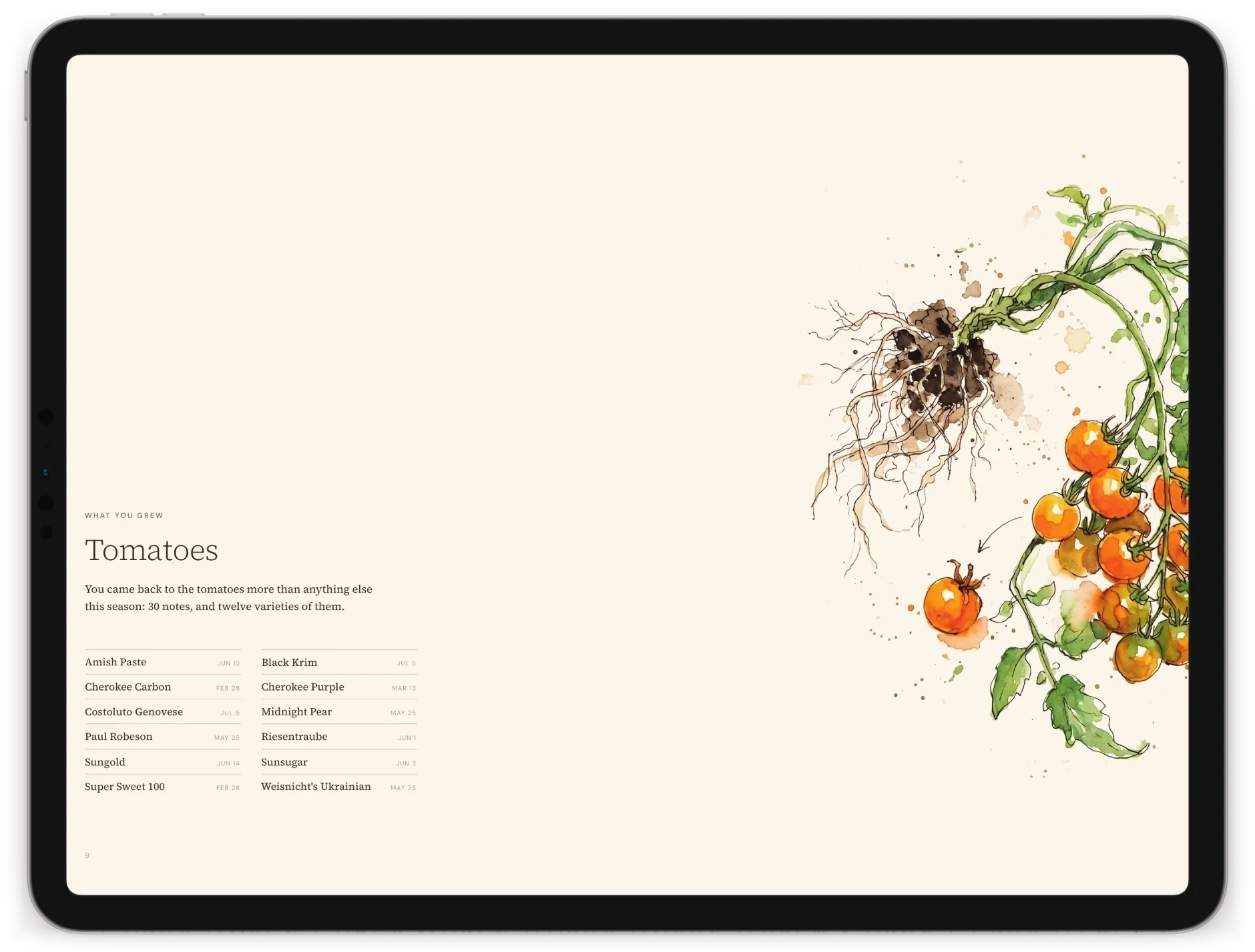 The tomatoes chapter of a Percy season on an iPad: twelve varieties and the dates they went in, beside an illustration of a cherry tomato vine