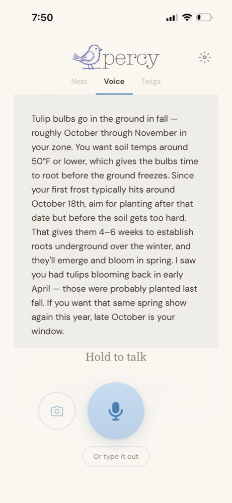 Percy answering when to plant tulip bulbs — citing the gardener's zone, a first frost around October 18th, and the tulips they had blooming last April