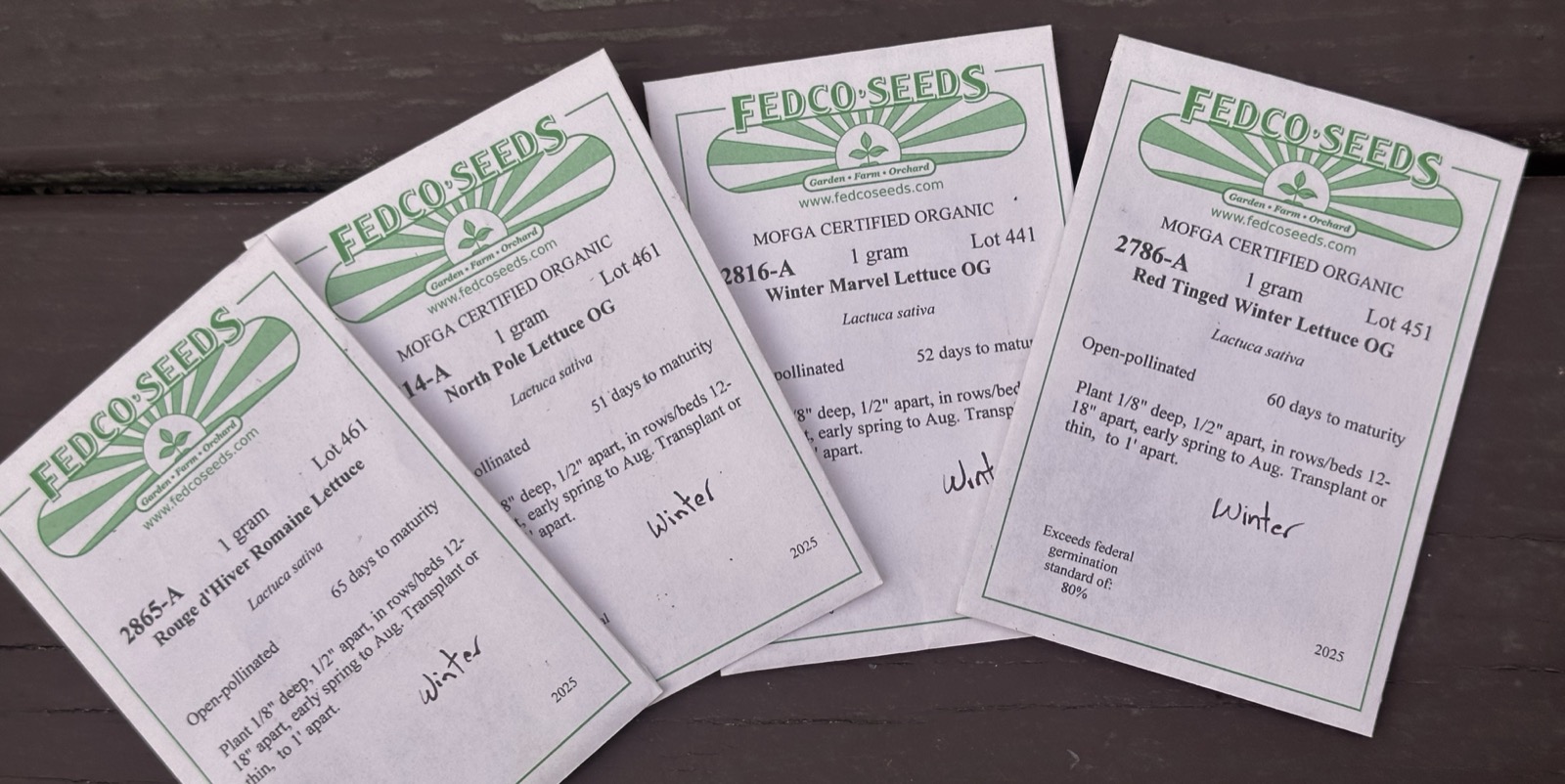 Winter lettuce seed packets — cold-hardy varieties for fall sowing and overwintering