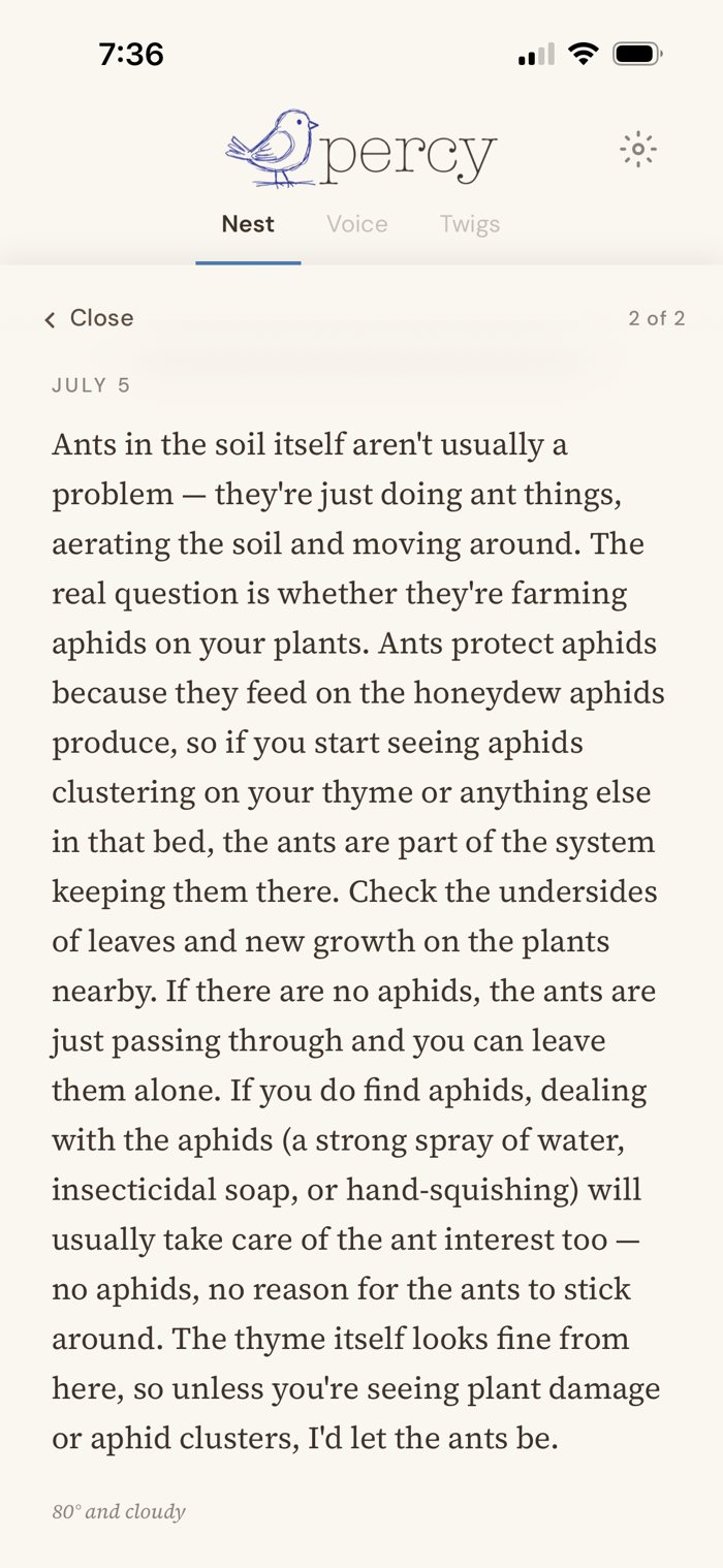 Percy's answer about ants in the soil of the thyme bed: usually harmless unless they're farming aphids, how to check, and to let them be if not