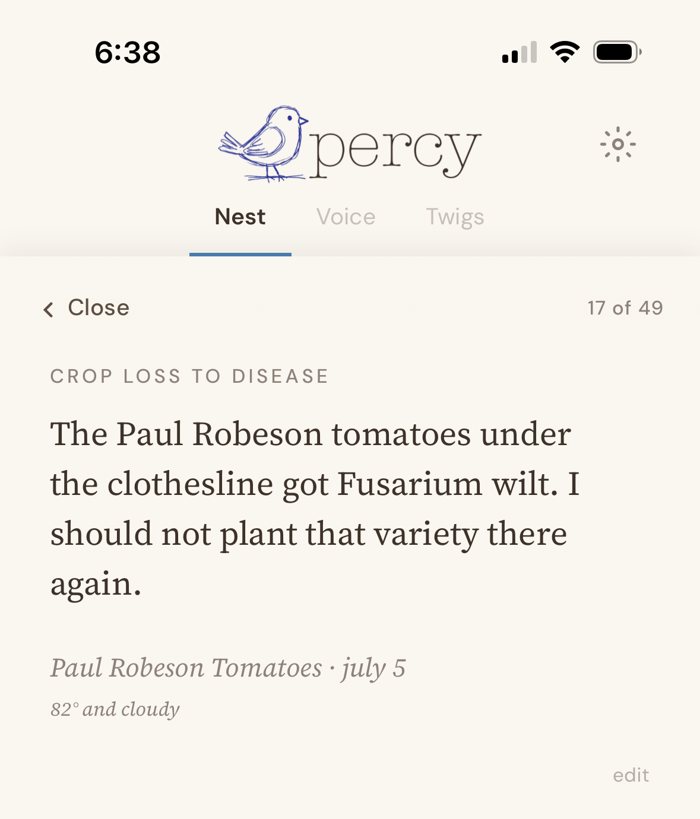 A Nest entry tagged Crop loss to disease: The Paul Robeson tomatoes under the clothesline got Fusarium wilt. I should not plant that variety there again. July 5, 82° and cloudy