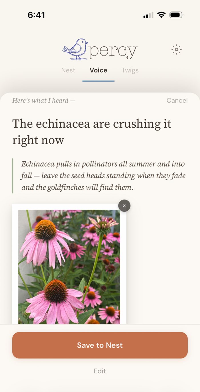 Percy's confirmation card for 'The echinacea are crushing it right now' with a photo of pink coneflowers and a note to leave the seed heads for goldfinches