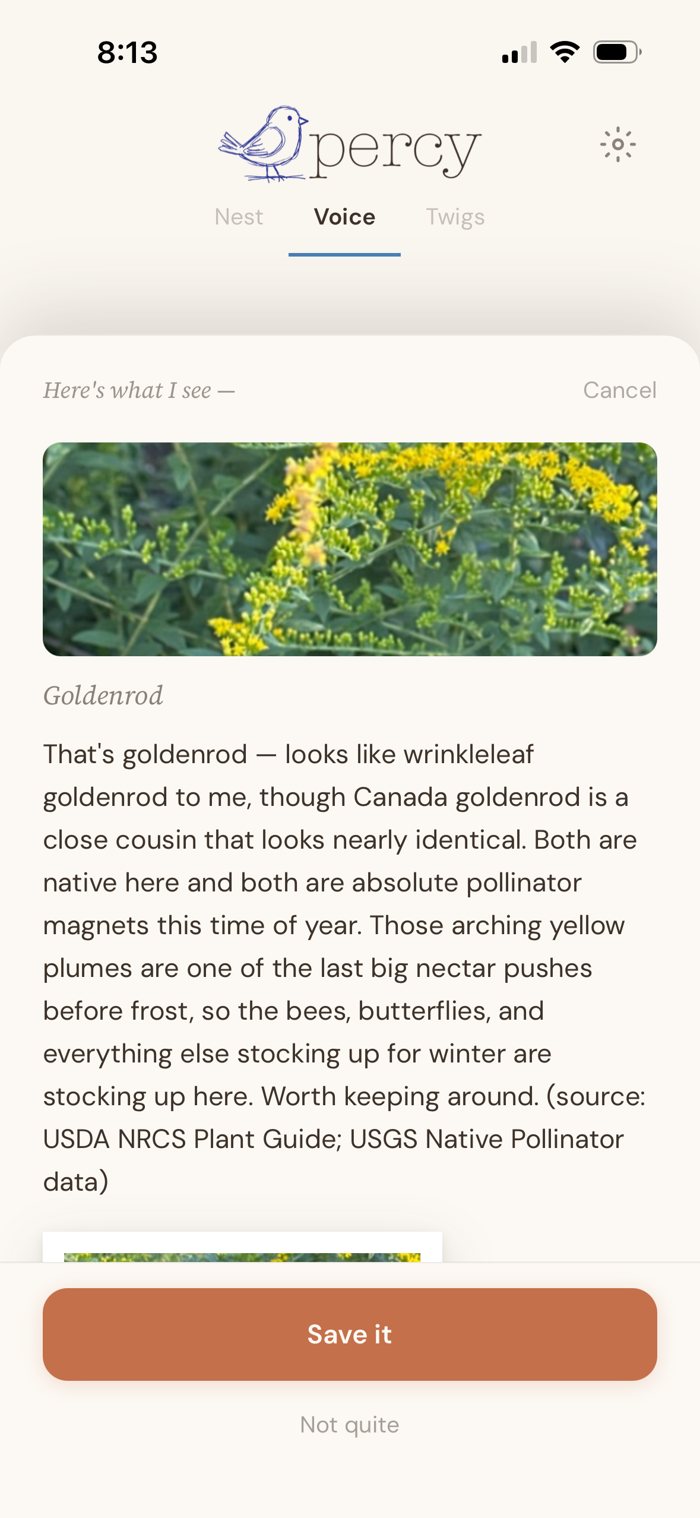 Percy identifying goldenrod as native here and a pollinator magnet, citing USDA NRCS and USGS