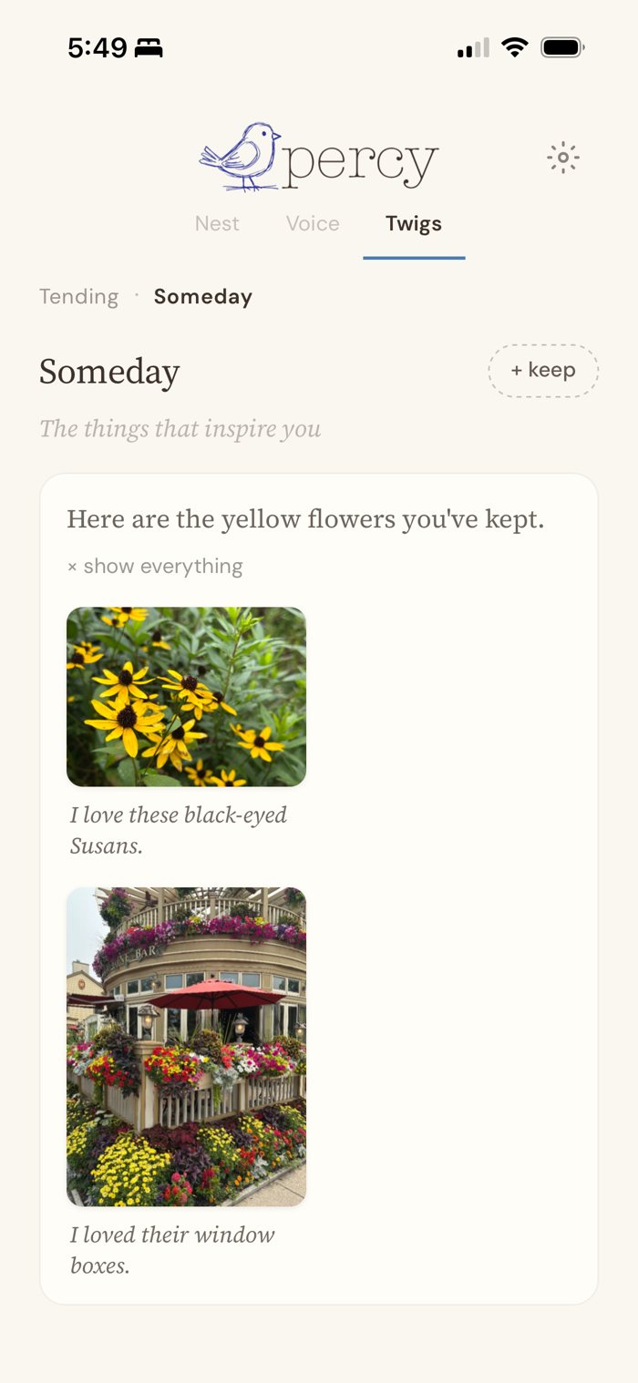Someday after asking for yellow flowers: Here are the yellow flowers you've kept, showing black-eyed Susans and a restaurant's window boxes