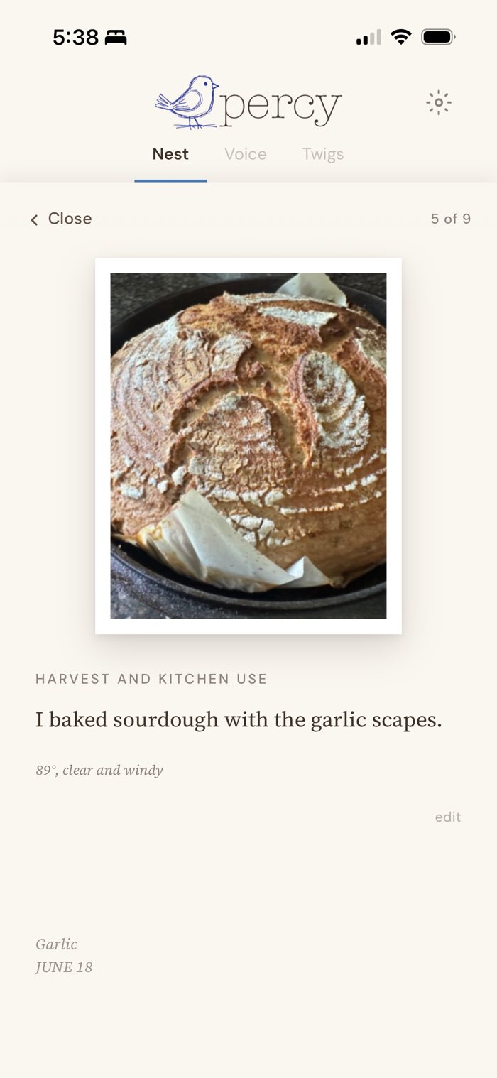 A Nest page tagged Harvest and kitchen use: 'I baked sourdough with the garlic scapes,' with a photo of the loaf and the weather, 89° clear and windy