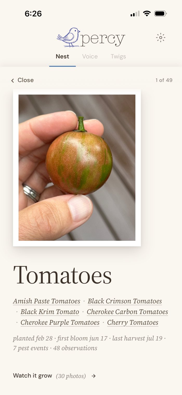 The Tomatoes chapter in Percy's Nest listing six varieties with planted, first bloom, last harvest, pest events and 48 observations, and a Watch it grow link