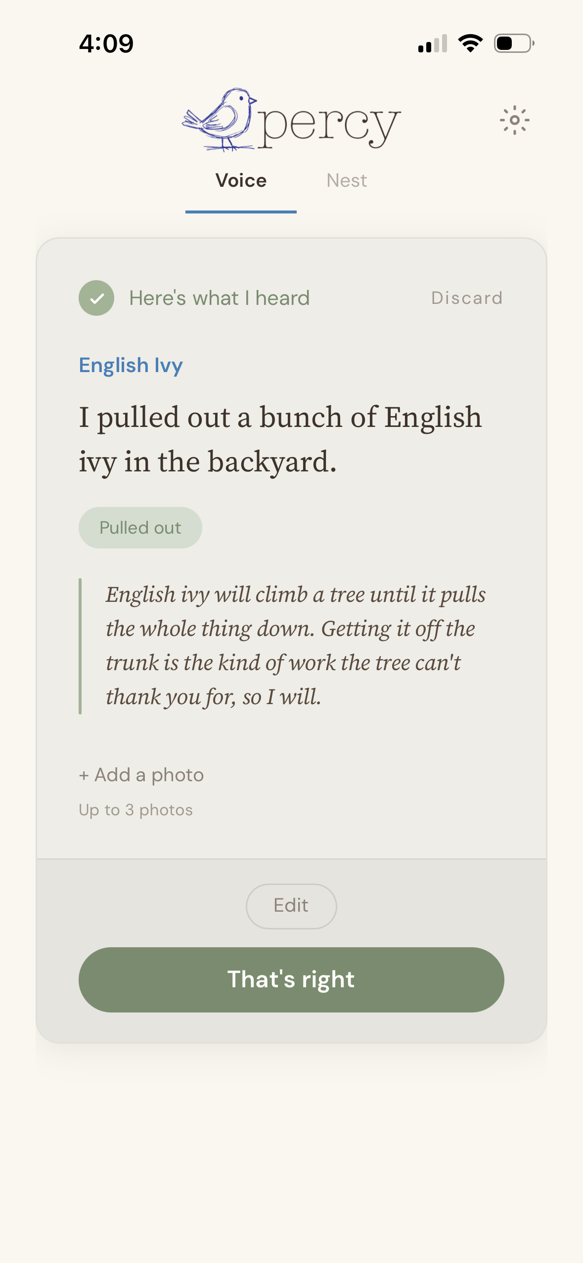 Percy's Voice screen. A gardener says 'I pulled out a bunch of English ivy in the backyard.' Percy responds that English ivy will climb a tree until it pulls the whole thing down, and getting it off the trunk is the kind of work the tree can't thank you for.