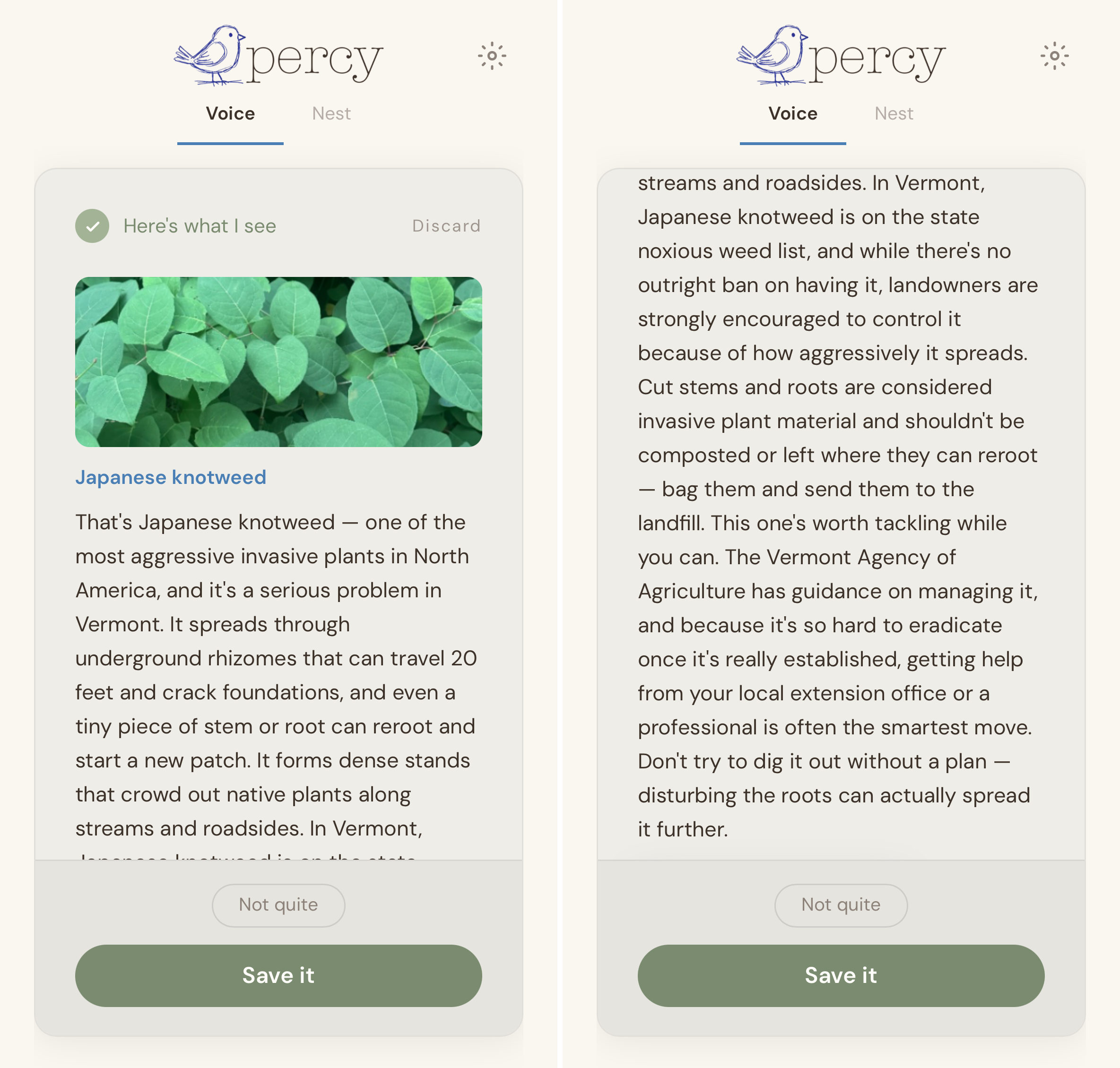 Percy identifying Japanese knotweed from a photo and explaining it's one of the most aggressive invasive plants in North America, a serious problem in Vermont where it's on the state noxious weed list — with guidance on how to control it and safely dispose of the cut stems and roots.