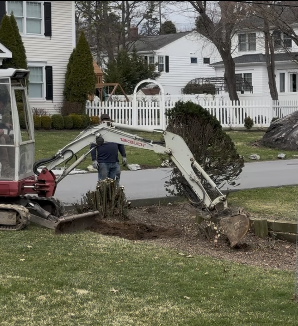 A mini excavator lifting a large privet shrub out of the ground by its roots in a suburban front yard, with a white picket fence and houses in the background.