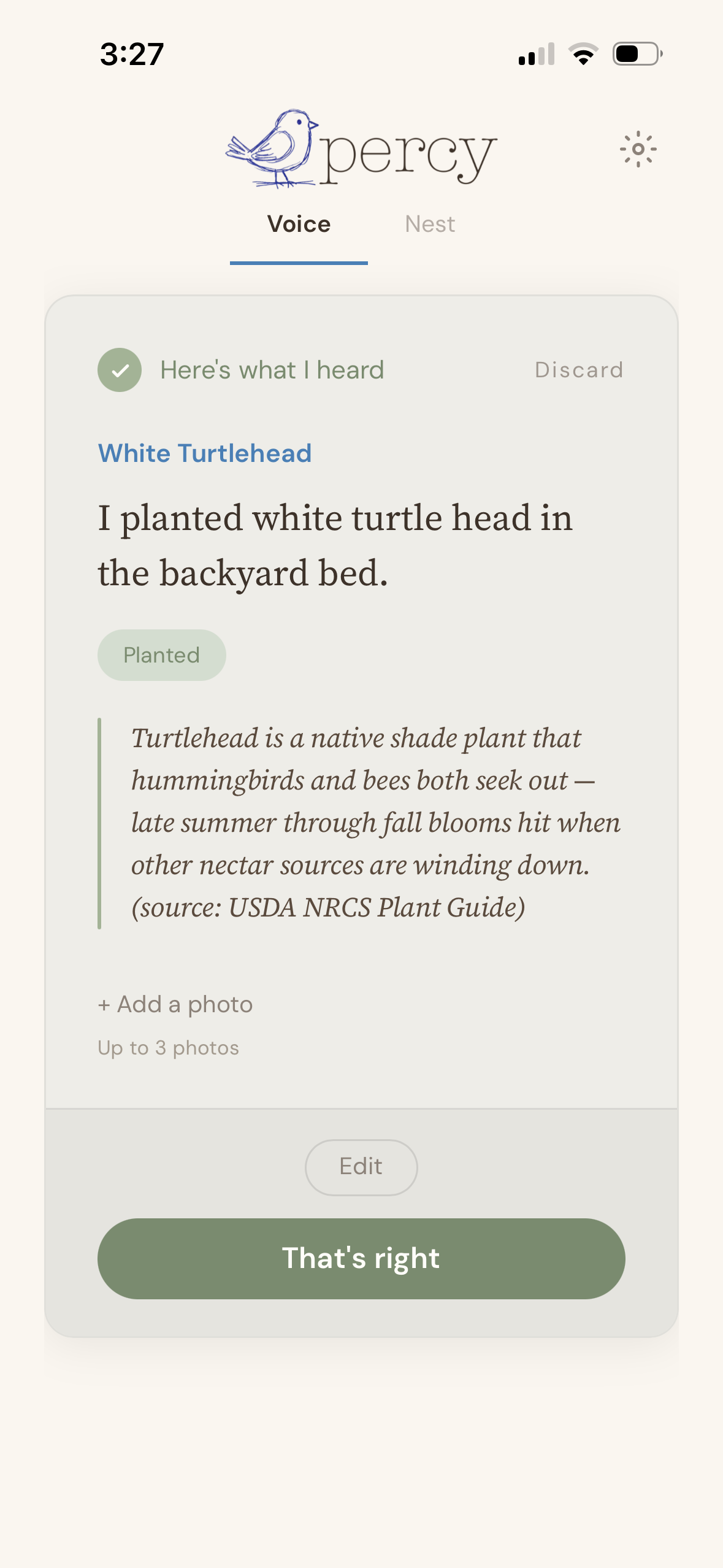 Percy's Voice screen. A gardener says 'I planted white turtlehead in the backyard bed.' Percy responds that turtlehead is a native shade plant that hummingbirds and bees both seek out, with late-summer-through-fall blooms that hit when other nectar sources are winding down — citing the USDA NRCS Plant Guide.