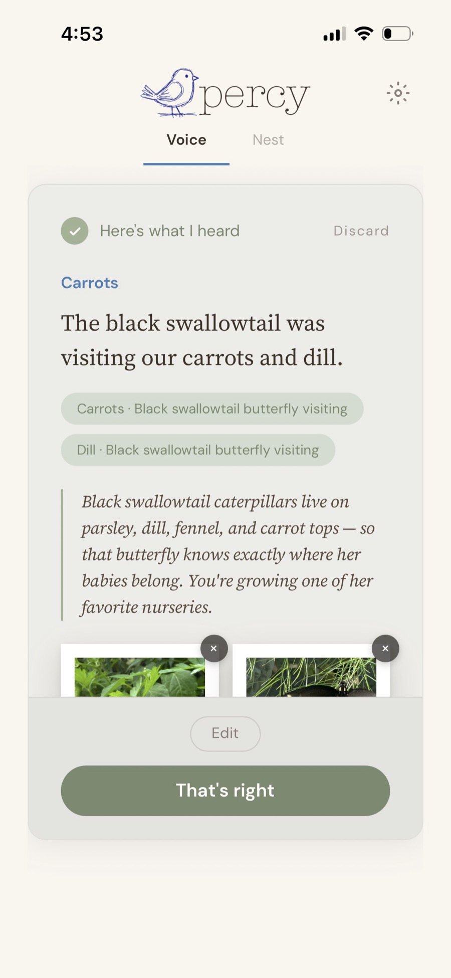 The Percy app's Voice screen showing a saved note — 'The black swallowtail was visiting our carrots and dill' — tagged to Carrots and Dill, with Percy's reply that black swallowtail caterpillars live on parsley, dill, fennel and carrot tops, so the butterfly knows exactly where her babies belong