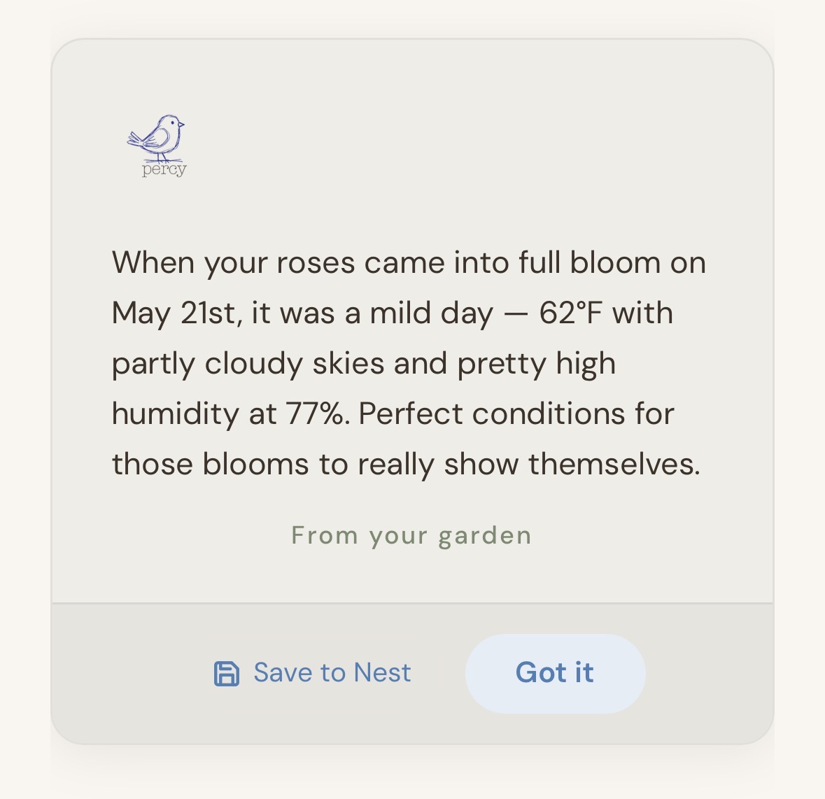Percy recalling the weather the day the roses bloomed — 62 degrees, partly cloudy, 77 percent humidity